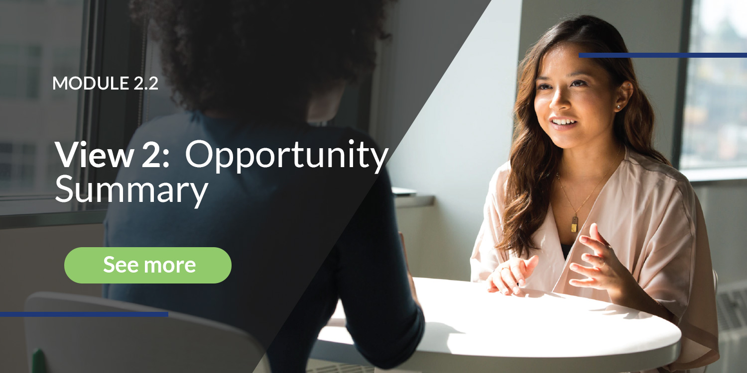 OA View 2 - Opportunity Summary